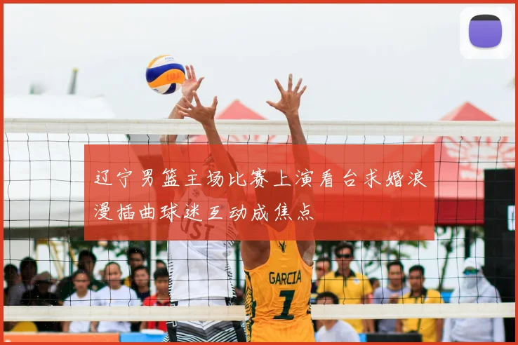 辽宁男篮主场比赛上演看台求婚浪漫插曲球迷互动成焦点